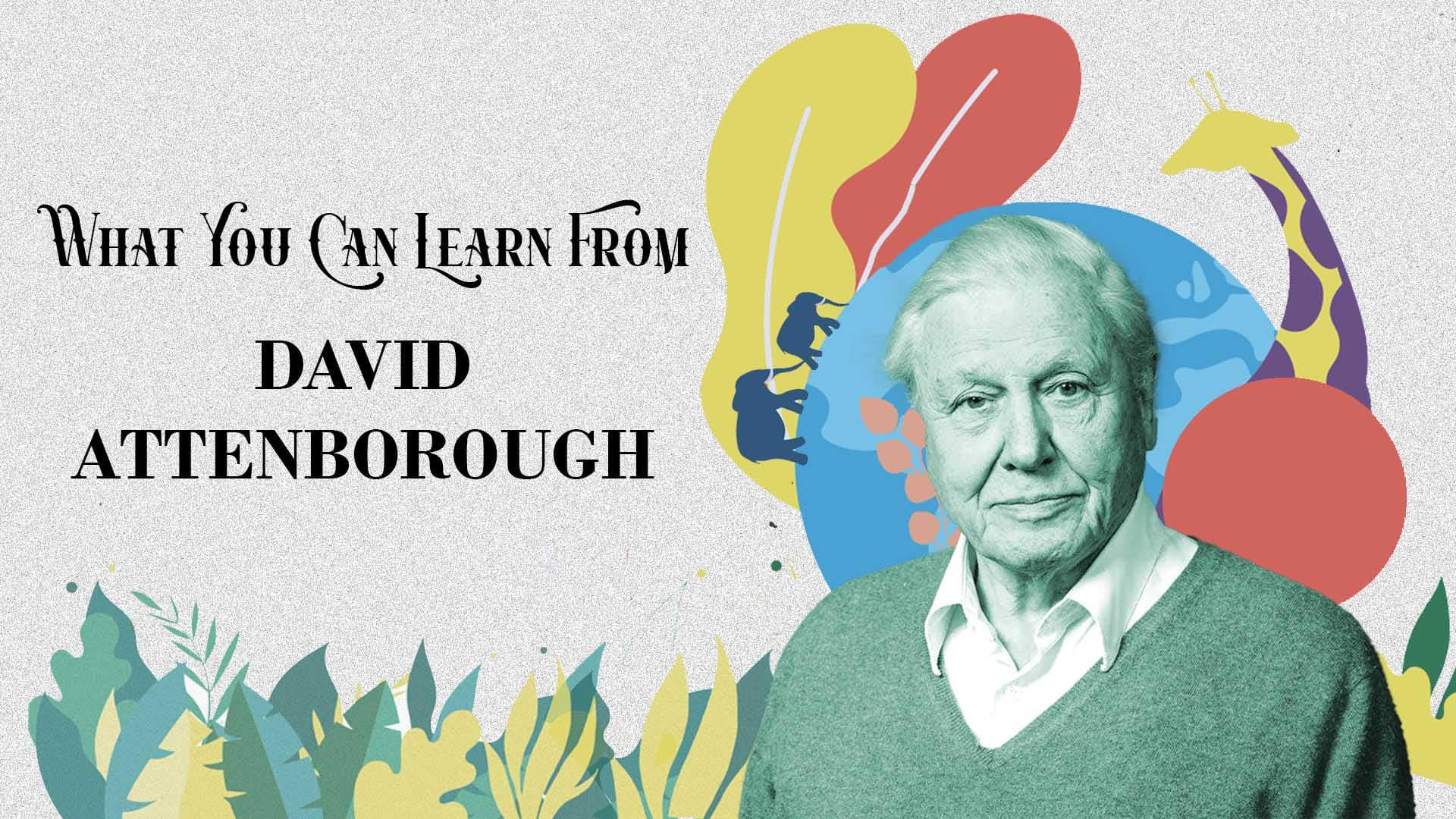 What You Can Learn From David Attenborough